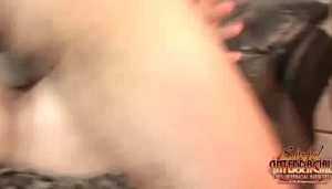 Blacked Small Tits Honey Brittany Kane | VideoXXX.Tv